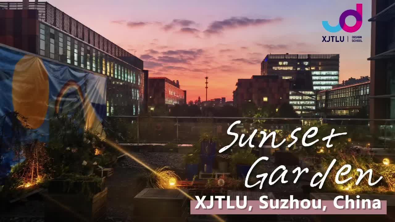 A greener campus: XJTLU community garden earns accolades - Xi'an